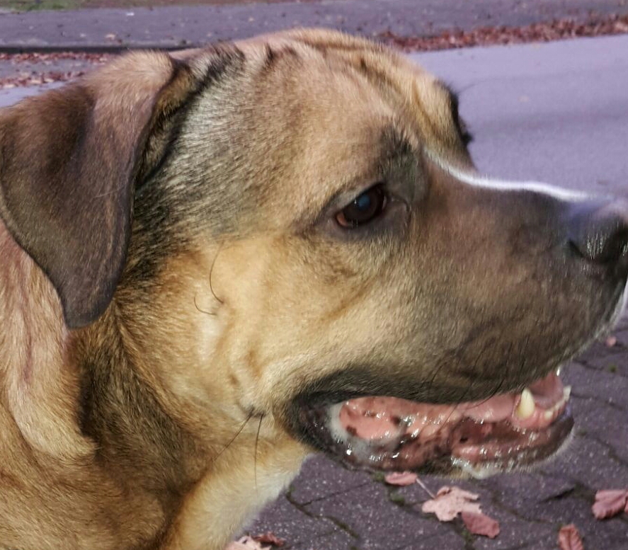 IMG-20151113-WA0006-1