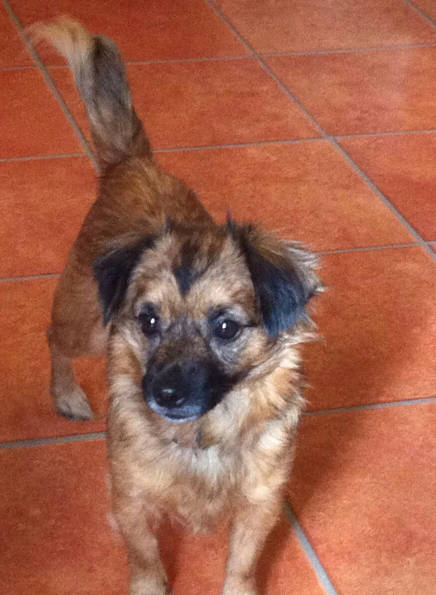 IMG-20151118-WA0006-1