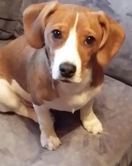 IMG-20170222-WA0013-1