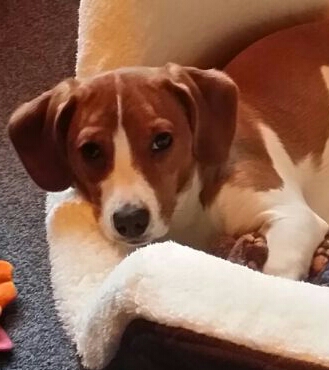 IMG-20170222-WA0014-1