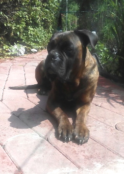 IMG-20150705-WA0002 IMG-20150705-WA0002